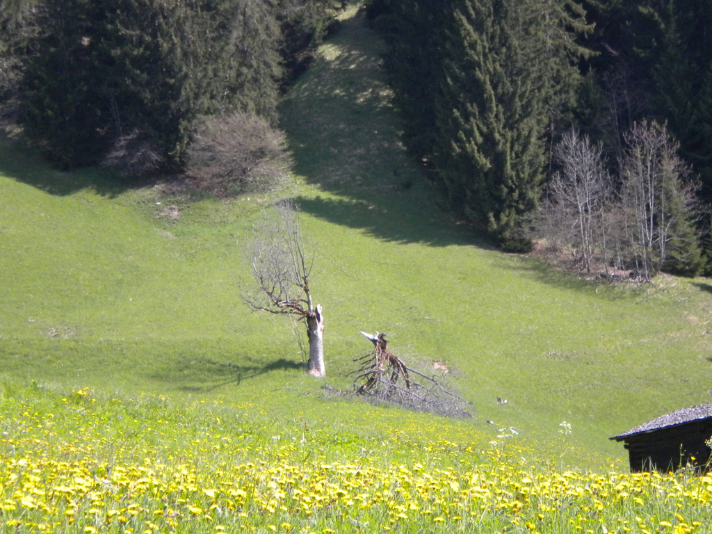 Bild 015_jpg-1274786394