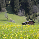 Bild 016_jpg-1274786399