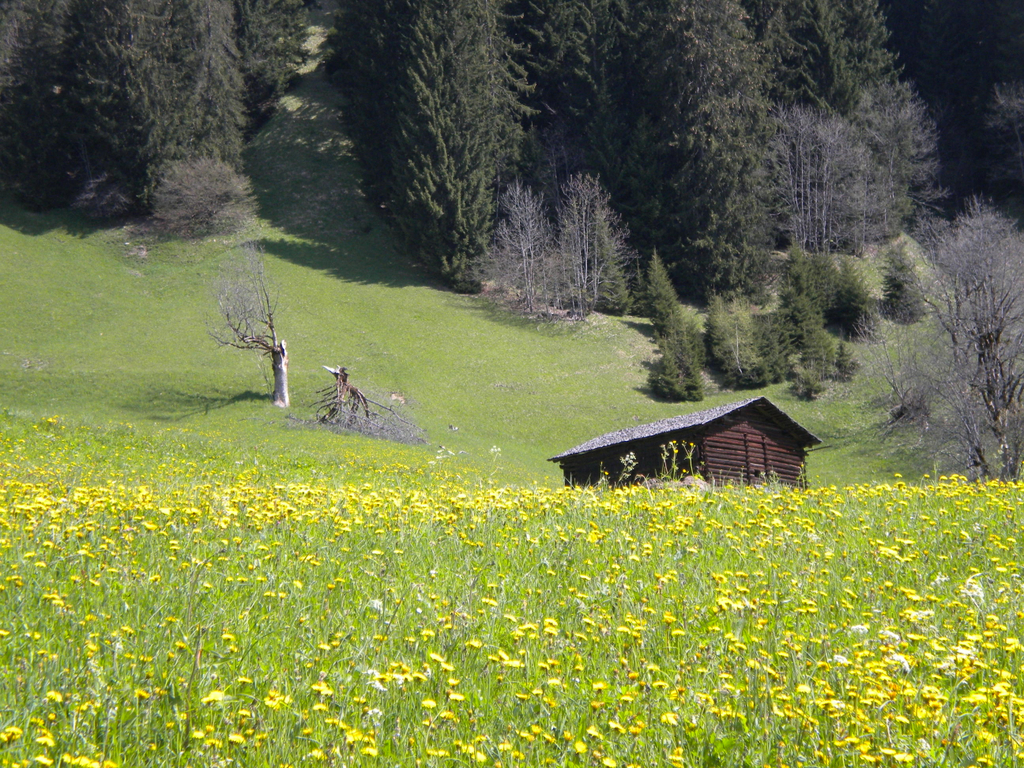 Bild 016_jpg-1274786399