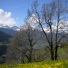Bild 017_jpg-1274786405