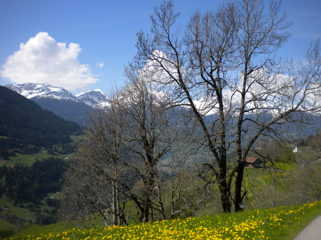 Bild 017_jpg-1274786405