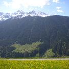Bild 019_jpg-1274786409