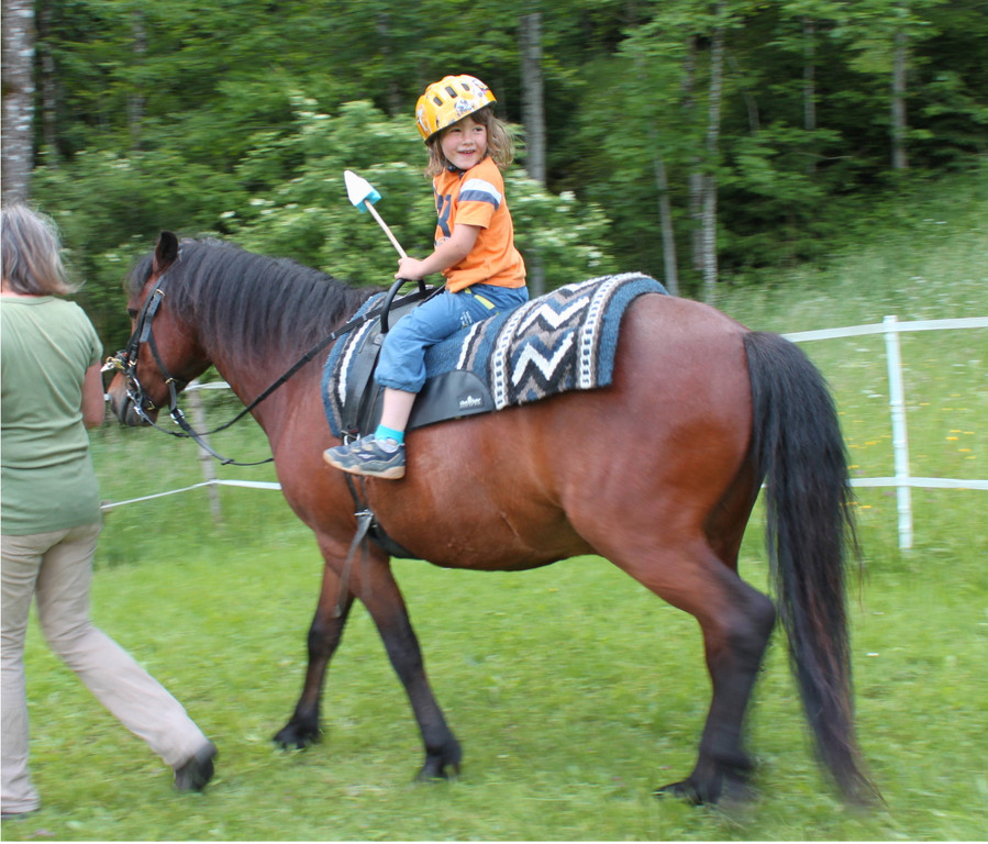 Ponytage 5.JPG