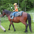 Ponytage