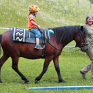 Ponytage 1.JPG