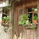 Gartenbegehung