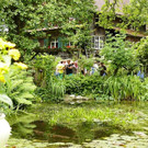 ogv20150615032931.jpg