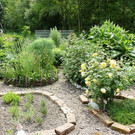 ogv20150615032927.jpg