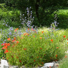 ogv20150615032926.jpg
