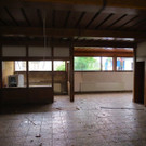IMG_1464.jpg