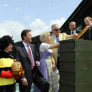 Bienenstock auf der Wiener Staatsoper