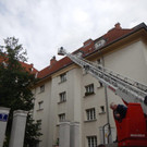 Feuerwehr-Einsatz in Wien-Donaustadt wegen einer Katze im Kamin