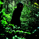 Cannes Filmfestival: Goldene Palme für "Uncle Boonmee"