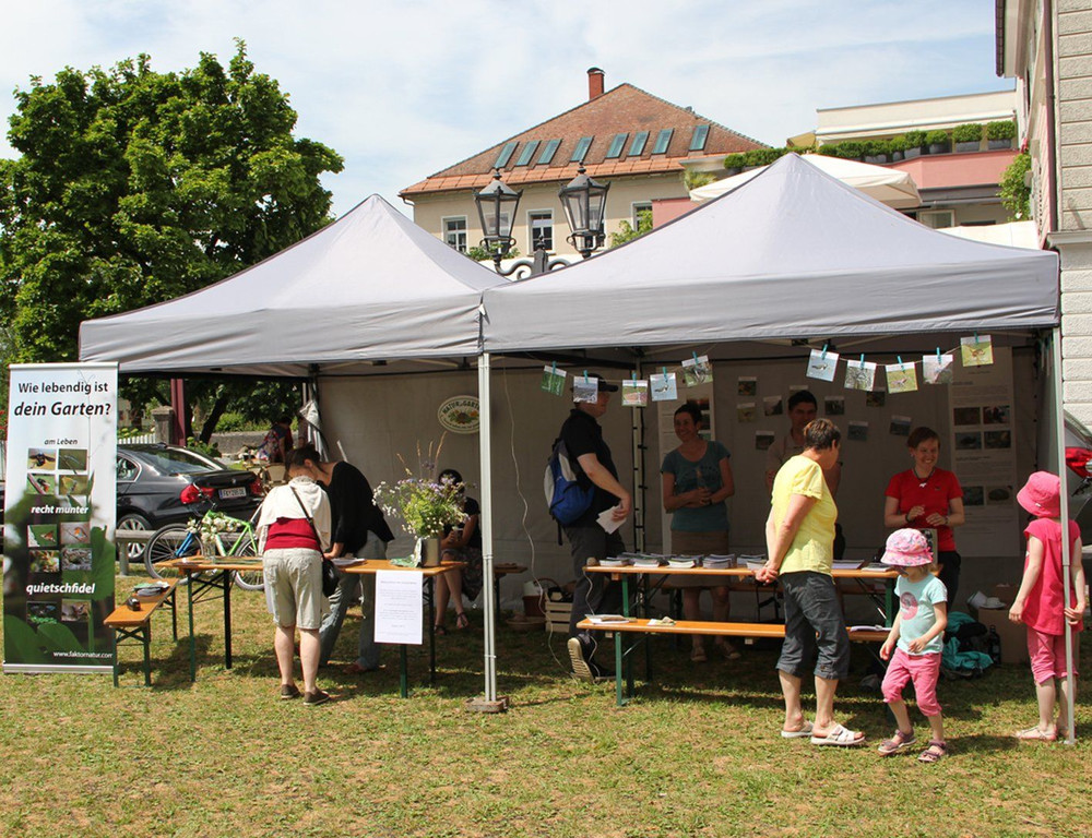 Vielfalt11.jpg