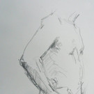 Graphit2.JPG