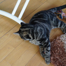 DSC00147.JPG