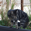 DSC00289.JPG