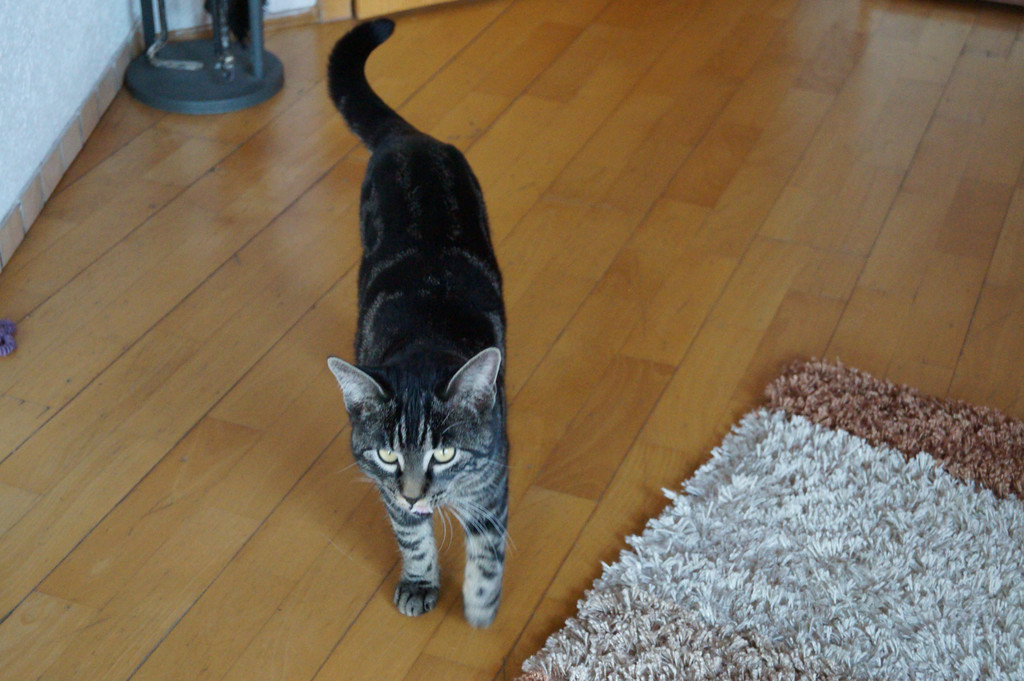 DSC00145.JPG