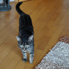DSC00145.JPG
