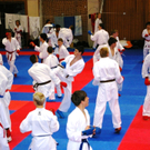 IMGP7280_JPG-1274812446