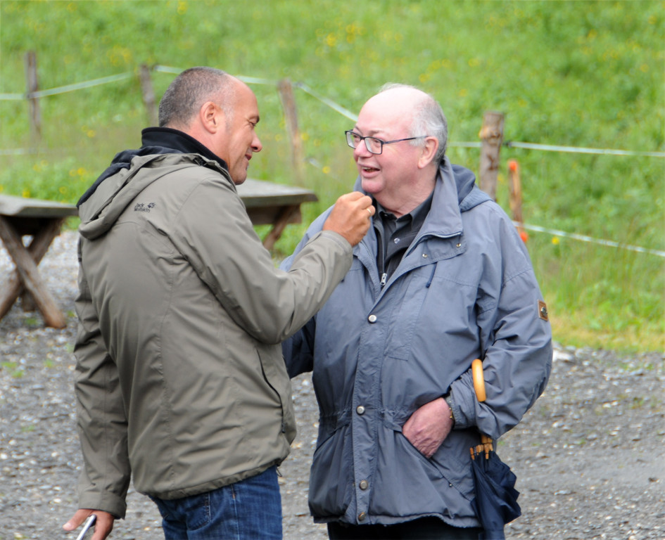 Alpe Sattel 20-06-2015 11.jpg