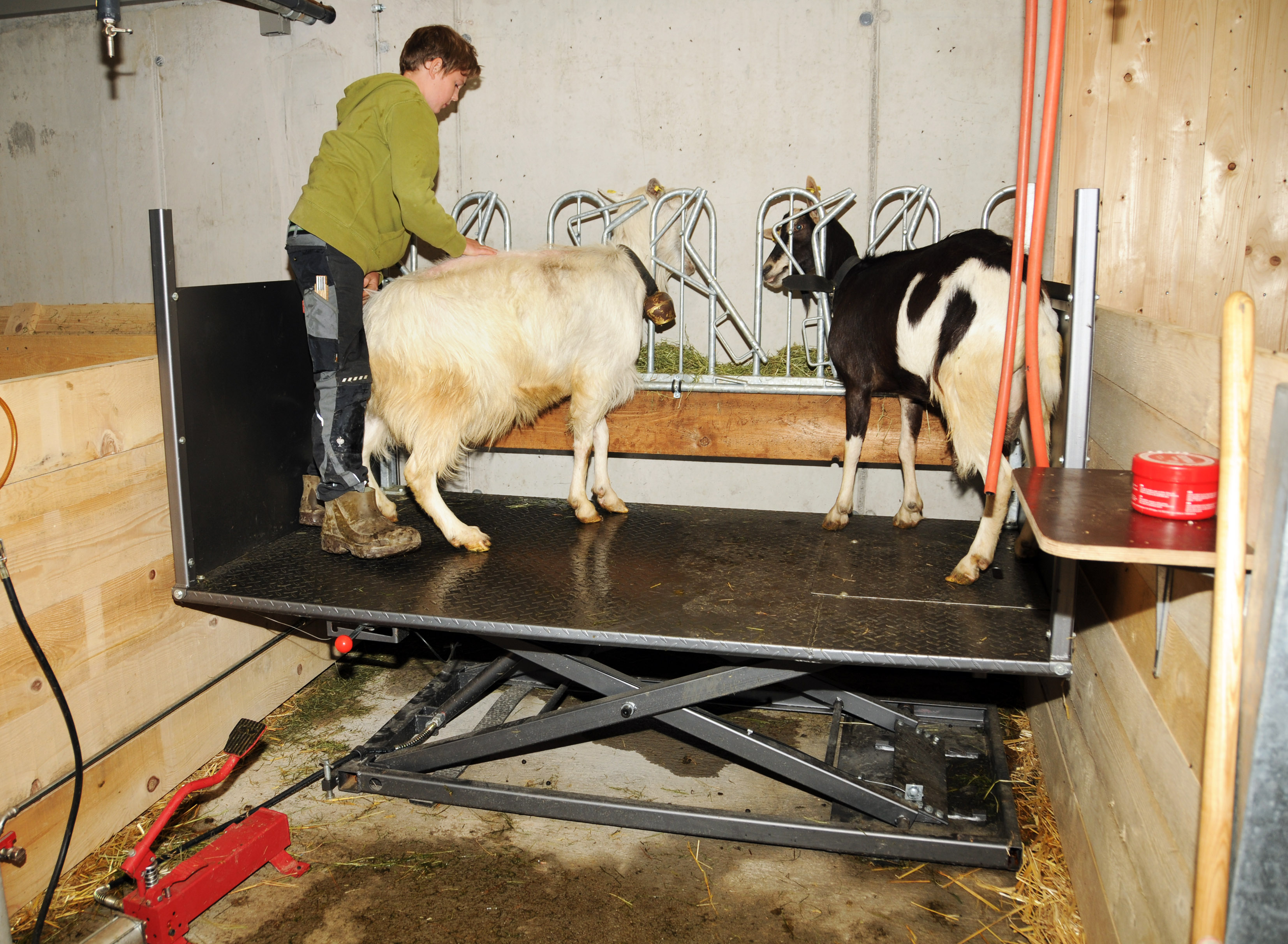 Alpe Sattel 20-06-2015 27.jpg