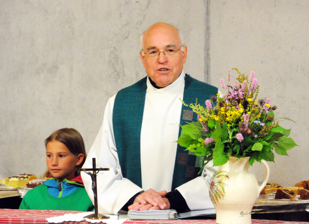 Alpe Sattel 20-06-2015 63.jpg