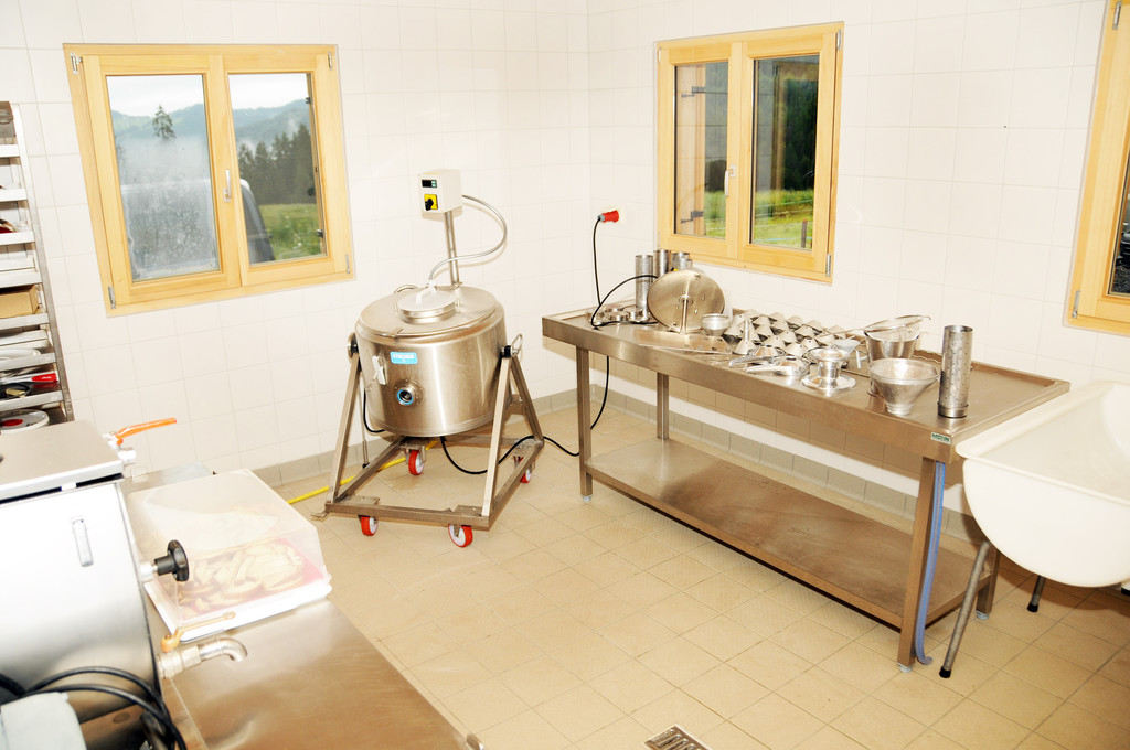 Alpe Sattel 20-06-2015 79.jpg