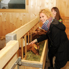 Alpe Sattel 20-06-2015 102 Hannah_Julia.jpg