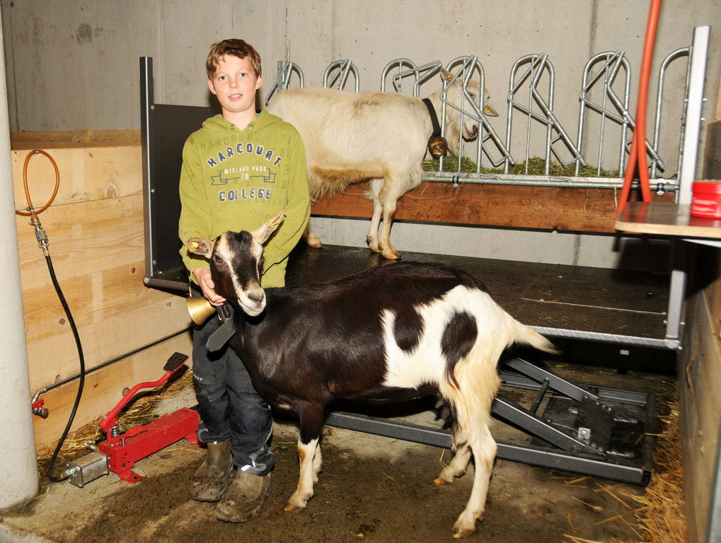 Alpe Sattel 20-06-2015 Jakob 31.jpg