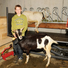 Alpe Sattel 20-06-2015 Jakob 31.jpg