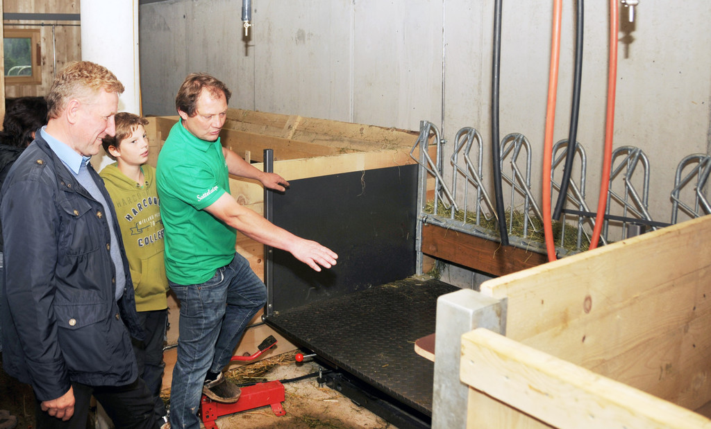 Alpe Sattel 20-06-2015 110.jpg