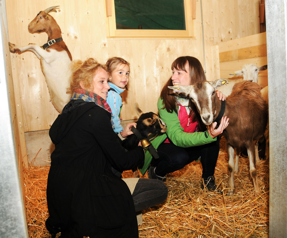 Alpe Sattel 20-06-2015 119.jpg