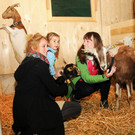 Alpe Sattel 20-06-2015 119.jpg