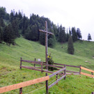 Alpe Sattel 20-06-2015 218.jpg