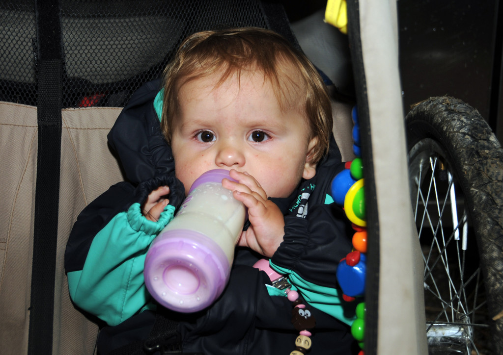 Alpe Sattel 20-06-2015 217.jpg