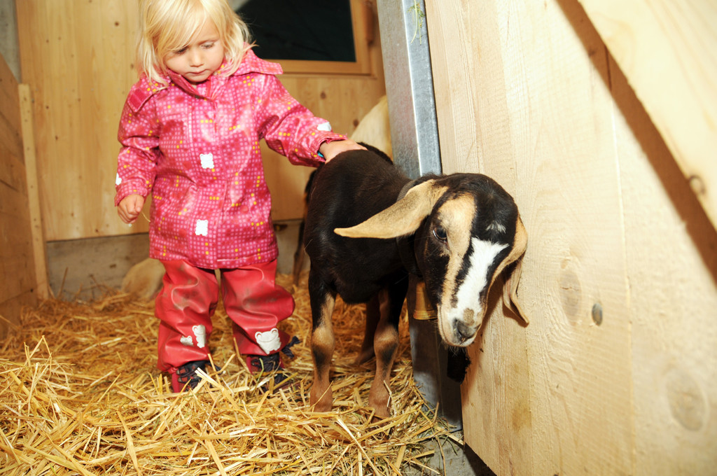 Alpe Sattel 20-06-2015 223.jpg