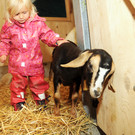 Alpe Sattel 20-06-2015 223.jpg