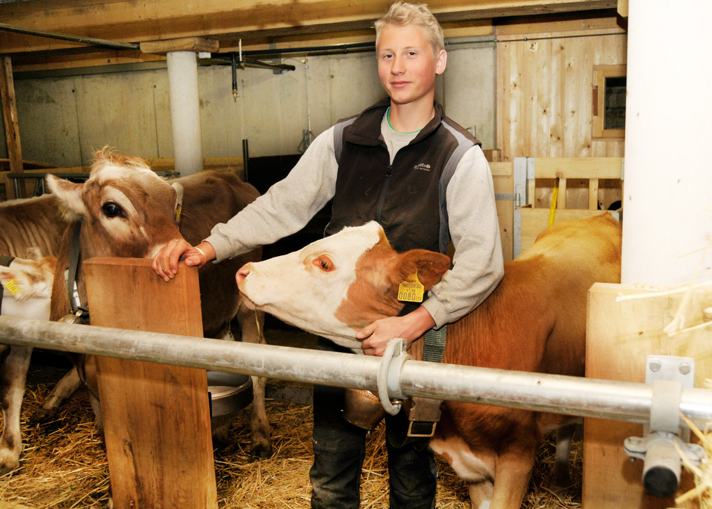 Alpe Sattel 20-06-2015 232.jpg