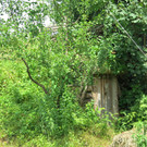 Naturgarten im Hohenemser Ried