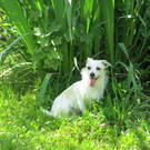 IMG_1581.JPG