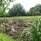 IMG_1582.JPG