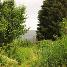 IMG_1586.JPG