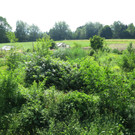 IMG_1712.JPG