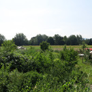 IMG_1716.JPG