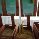 DSC00150_JPG-1274854820