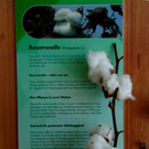 DSC00151_JPG-1274854849