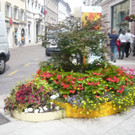 Gardasee Genuss und Kulturfahrt 16__17_06_2015 Bild  6.jpg