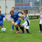 IMG_2972.jpg