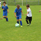 IMG_3101.jpg